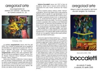 aregolad'arte volantino posteriore